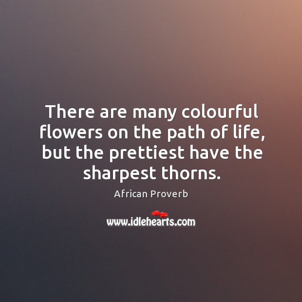 There are many colourful flowers on the path of life, but the prettiest have the sharpest thorns. African Proverbs Image