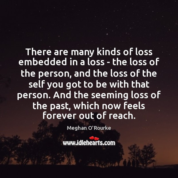 There are many kinds of loss embedded in a loss – the Meghan O’Rourke Picture Quote