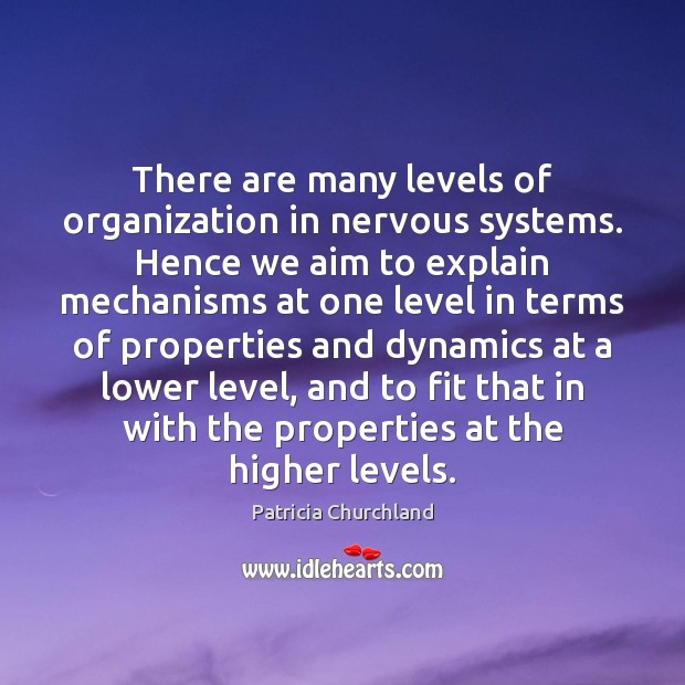 There are many levels of organization in nervous systems. Hence we aim Image