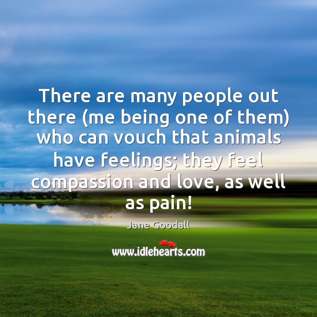 There are many people out there (me being one of them) who Jane Goodall Picture Quote