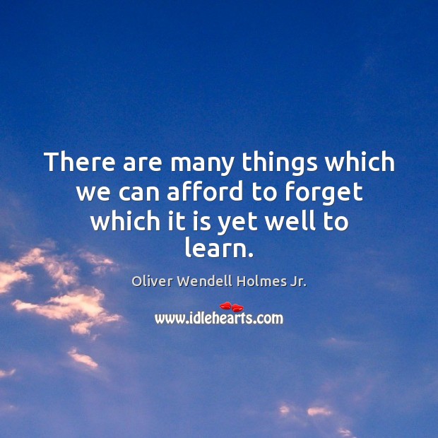 There are many things which we can afford to forget which it is yet well to learn. Oliver Wendell Holmes Jr. Picture Quote