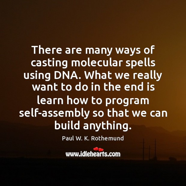 There are many ways of casting molecular spells using DNA. What we Paul W. K. Rothemund Picture Quote