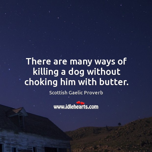 There are many ways of killing a dog without choking him with butter. Scottish Gaelic Proverbs Image