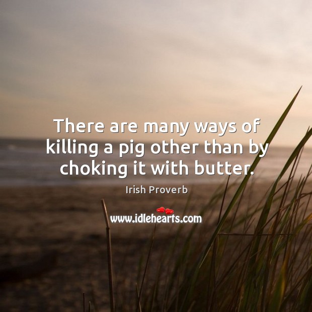 There are many ways of killing a pig other than by choking it with butter. Image