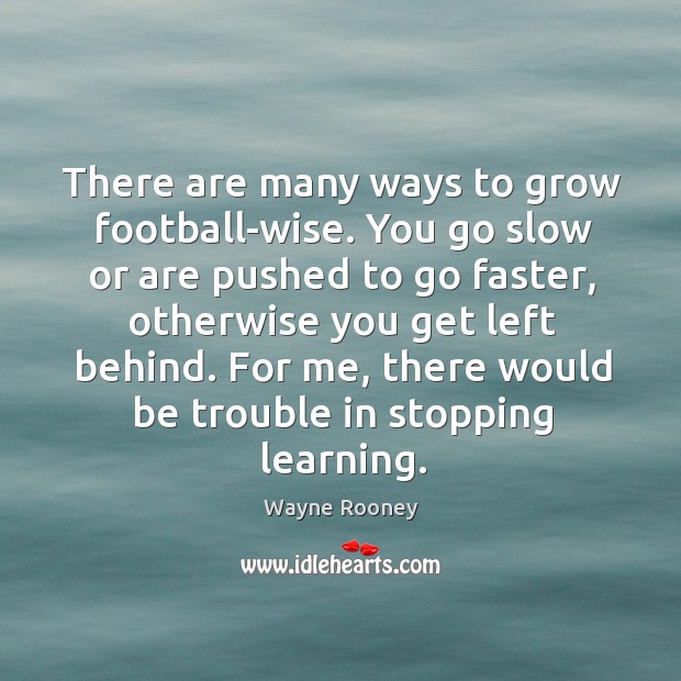 There are many ways to grow football-wise. You go slow or are pushed to go faster, otherwise you get left behind. Wayne Rooney Picture Quote