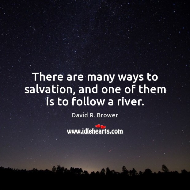 There are many ways to salvation, and one of them is to follow a river. David R. Brower Picture Quote