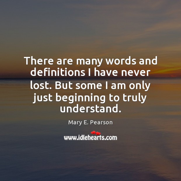 There are many words and definitions I have never lost. But some Mary E. Pearson Picture Quote