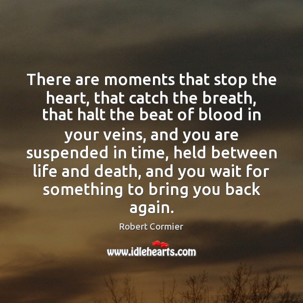 There are moments that stop the heart, that catch the breath, that Robert Cormier Picture Quote