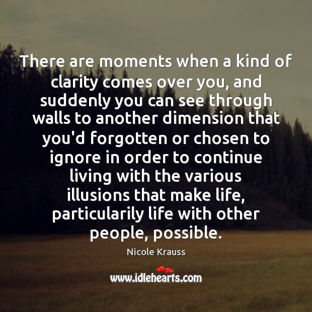 There are moments when a kind of clarity comes over you, and Nicole Krauss Picture Quote