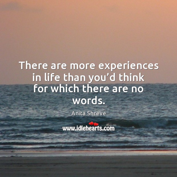 There are more experiences in life than you’d think for which there are no words. Anita Shreve Picture Quote