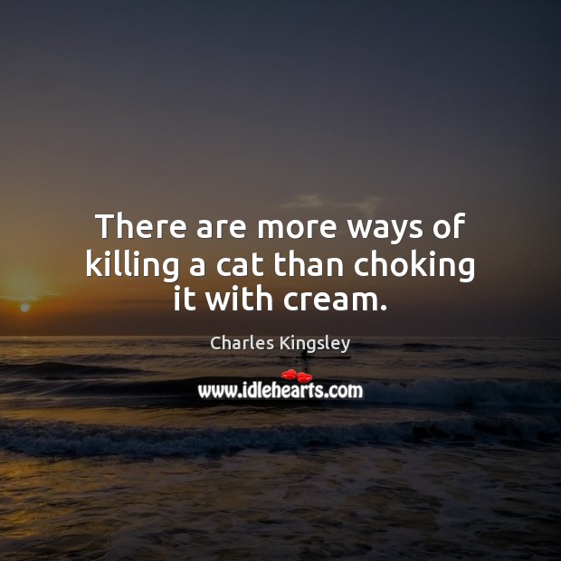 There are more ways of killing a cat than choking it with cream. Charles Kingsley Picture Quote