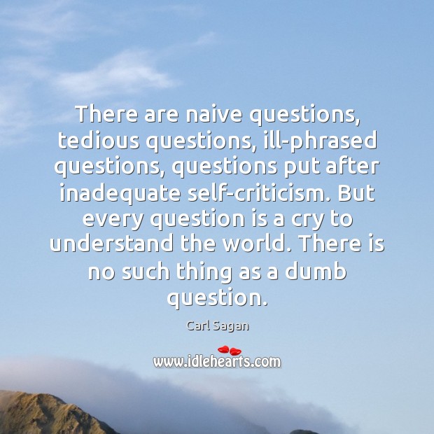There are naive questions, tedious questions, ill-phrased questions, questions put after inadequate Image