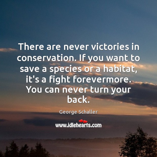 There are never victories in conservation. If you want to save a George Schaller Picture Quote