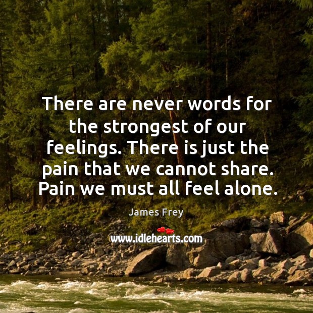 There are never words for the strongest of our feelings. There is James Frey Picture Quote
