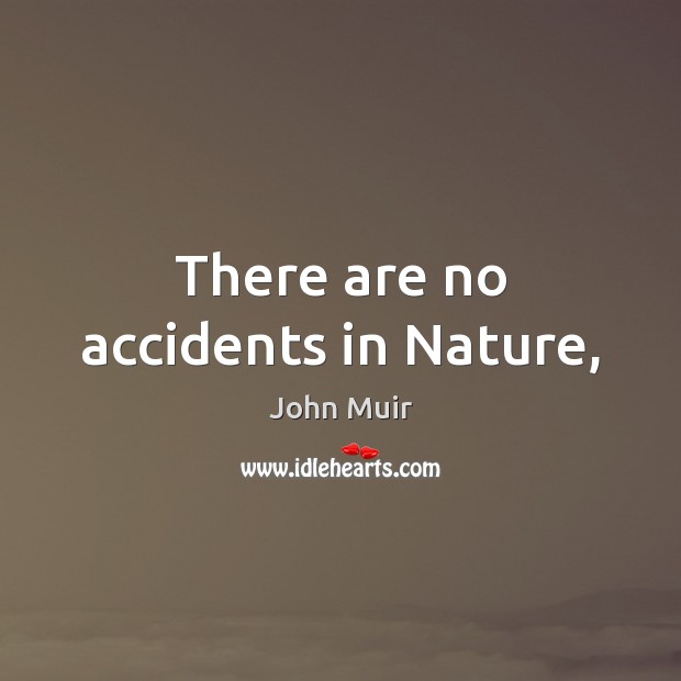 There are no accidents in Nature, John Muir Picture Quote