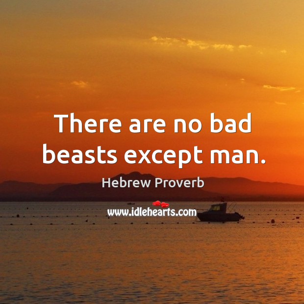 There are no bad beasts except man. Hebrew Proverbs Image