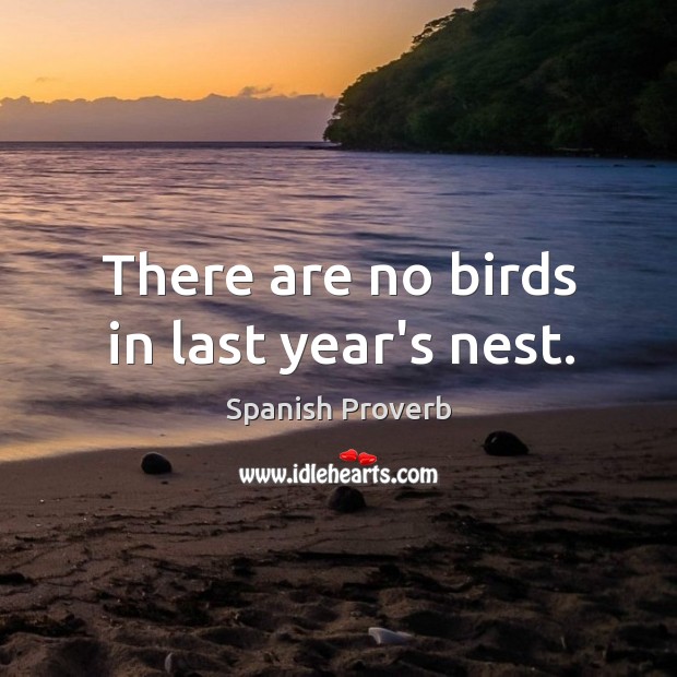 There are no birds in last year’s nest. Spanish Proverbs Image