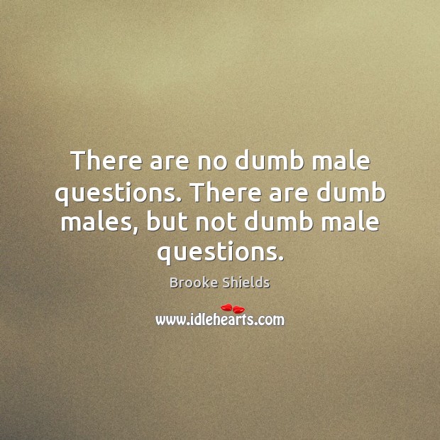 There are no dumb male questions. There are dumb males, but not dumb male questions. Brooke Shields Picture Quote