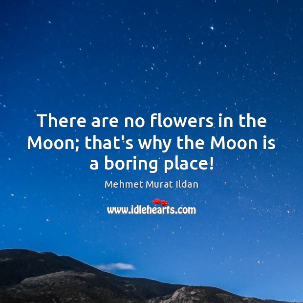 There are no flowers in the Moon; that’s why the Moon is a boring place! Image
