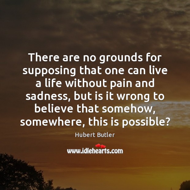 There are no grounds for supposing that one can live a life Hubert Butler Picture Quote