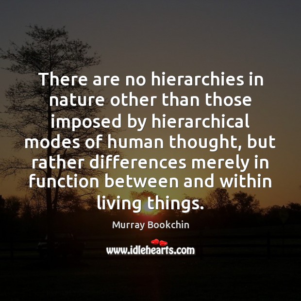 There are no hierarchies in nature other than those imposed by hierarchical Murray Bookchin Picture Quote