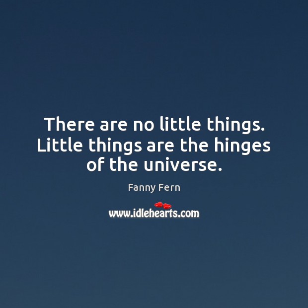 There are no little things. Little things are the hinges of the universe. Fanny Fern Picture Quote