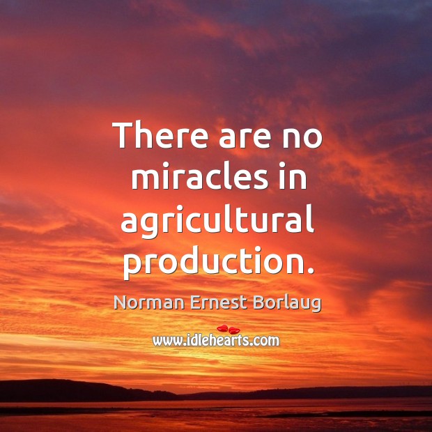 There are no miracles in agricultural production. Norman Ernest Borlaug Picture Quote