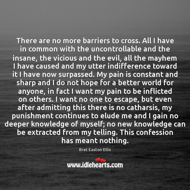 There are no more barriers to cross. All I have in common Bret Easton Ellis Picture Quote