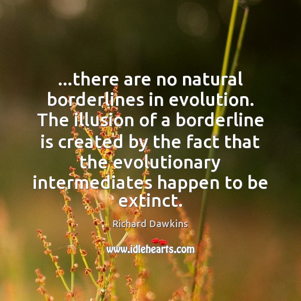 …there are no natural borderlines in evolution. The illusion of a borderline Richard Dawkins Picture Quote