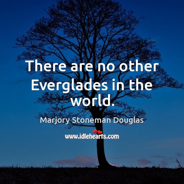 There are no other Everglades in the world. Marjory Stoneman Douglas Picture Quote