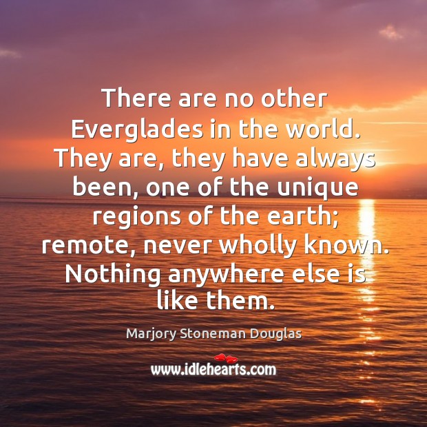 There are no other everglades in the world. Marjory Stoneman Douglas Picture Quote