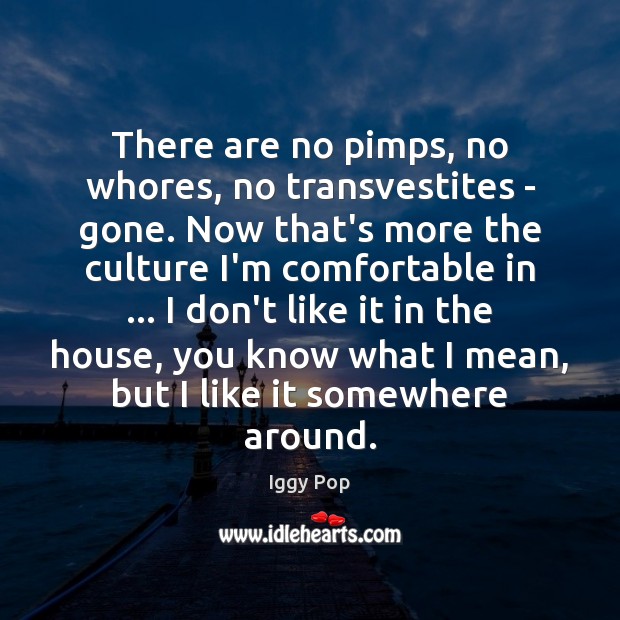 There are no pimps, no whores, no transvestites – gone. Now that’s Iggy Pop Picture Quote