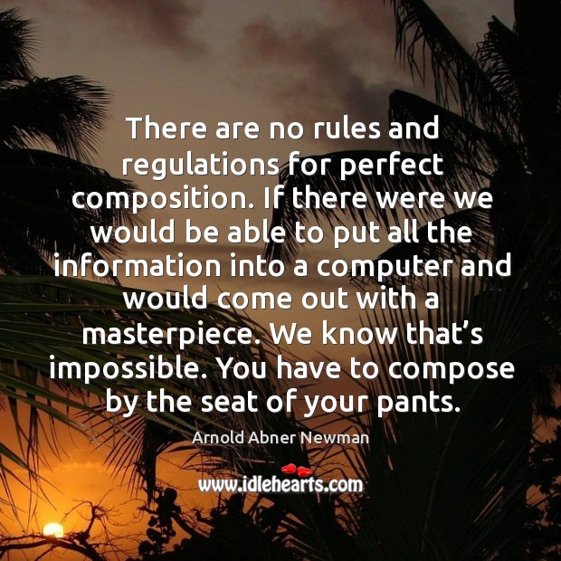 There are no rules and regulations for perfect composition. Arnold Abner Newman Picture Quote