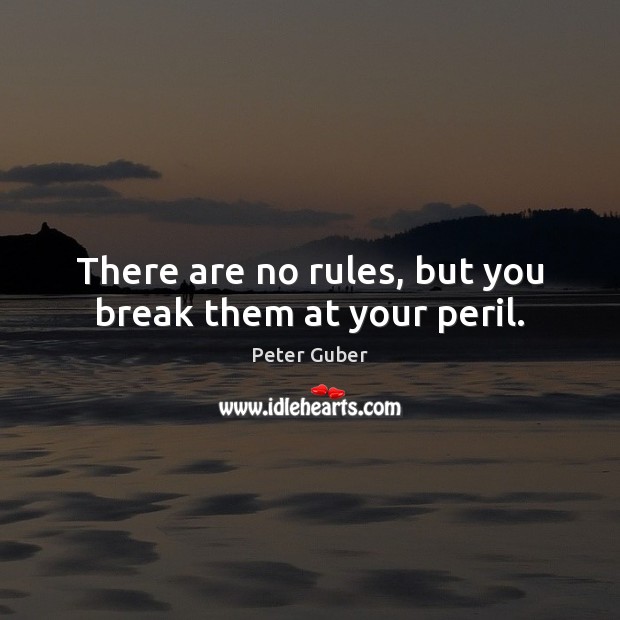 There are no rules, but you break them at your peril. Peter Guber Picture Quote