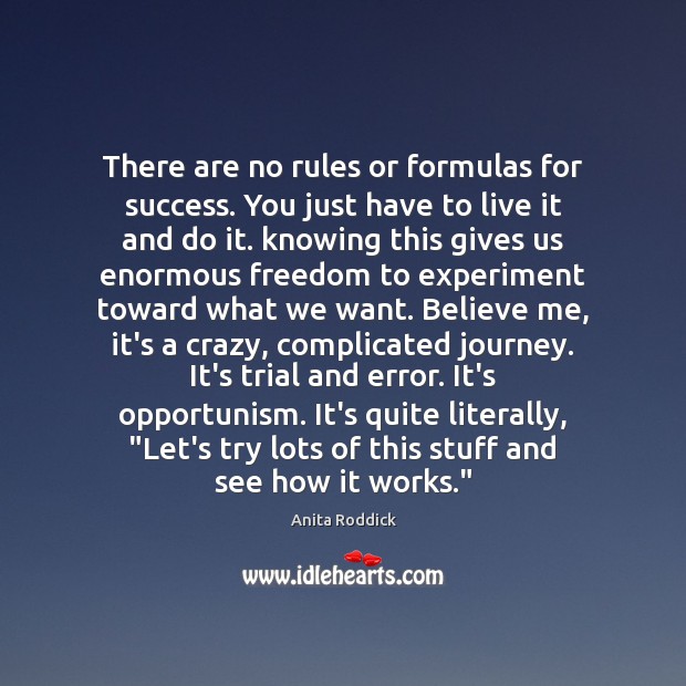There are no rules or formulas for success. You just have to Anita Roddick Picture Quote
