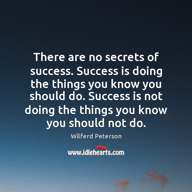 There are no secrets of success. Success is doing the things you Wilferd Peterson Picture Quote
