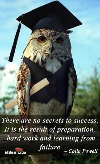 There are no secrets to success. Image