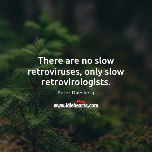 There are no slow retroviruses, only slow retrovirologists. Peter Duesberg Picture Quote