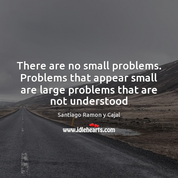There are no small problems. Problems that appear small are large problems Santiago Ramon y Cajal Picture Quote