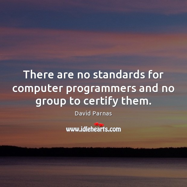 There are no standards for computer programmers and no group to certify them. David Parnas Picture Quote