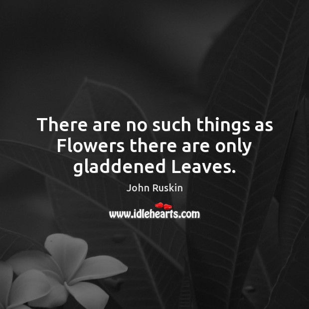There are no such things as Flowers there are only gladdened Leaves. Image