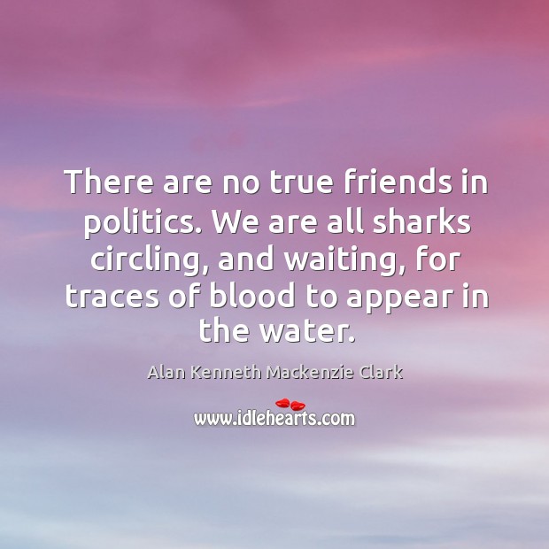 There are no true friends in politics. We are all sharks circling, and waiting Alan Kenneth Mackenzie Clark Picture Quote