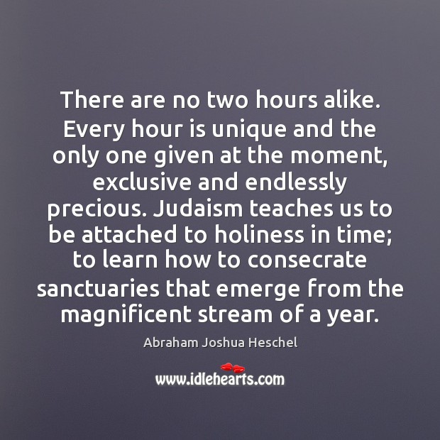 There are no two hours alike. Every hour is unique and the Abraham Joshua Heschel Picture Quote