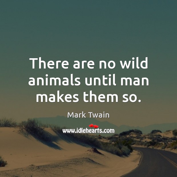 There are no wild animals until man makes them so. Image