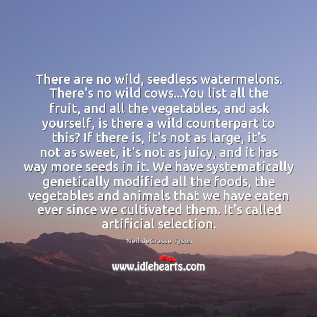 There are no wild, seedless watermelons. There’s no wild cows…You list Image