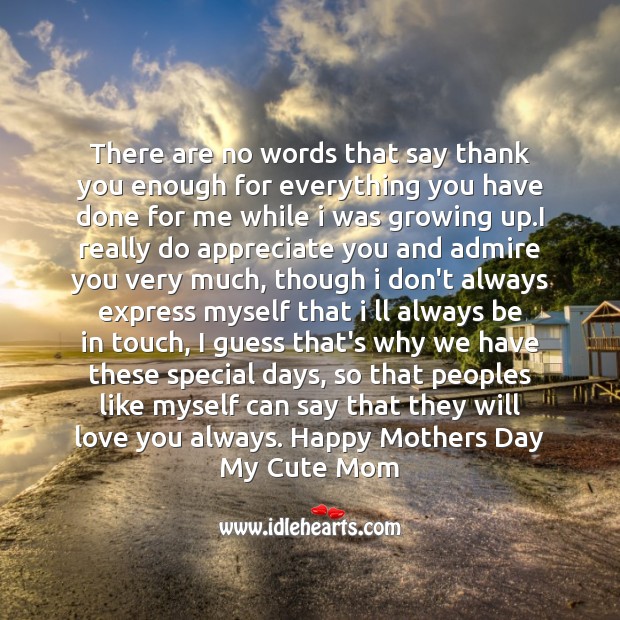 There are no words that say thank you Mother’s Day Quotes Image