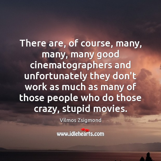 There are, of course, many, many, many good cinematographers and unfortunately they Vilmos Zsigmond Picture Quote