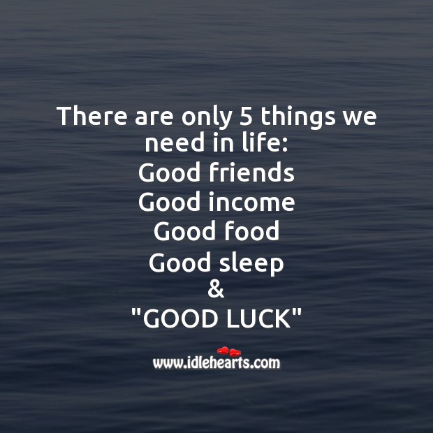 There are only 5 things we need in life Income Quotes Image