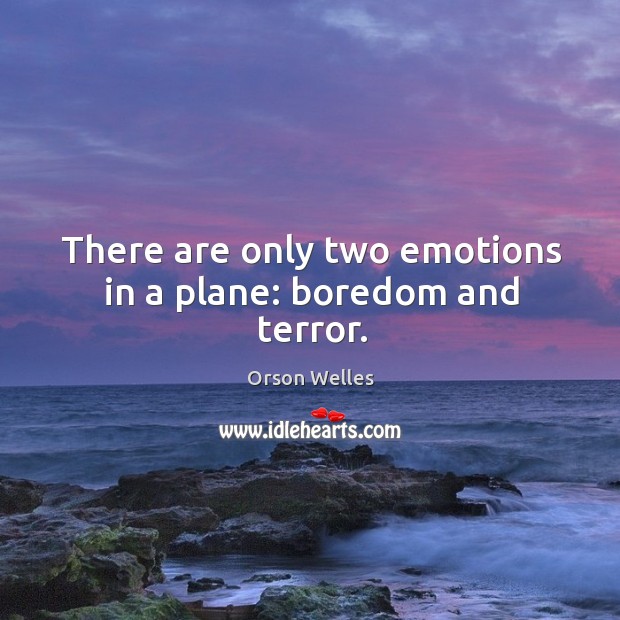There are only two emotions in a plane: boredom and terror. Image