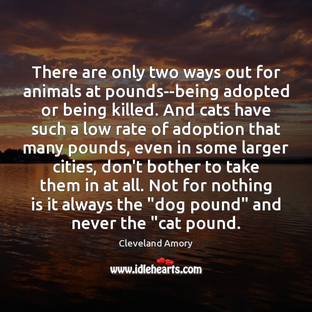 There are only two ways out for animals at pounds–being adopted or Cleveland Amory Picture Quote